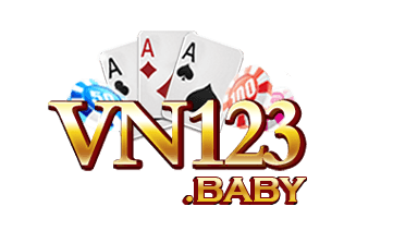 VN123